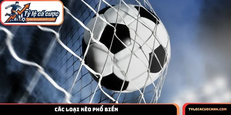 Cách chơi kèo Tài Xỉu nhà cái các loại phổ biến