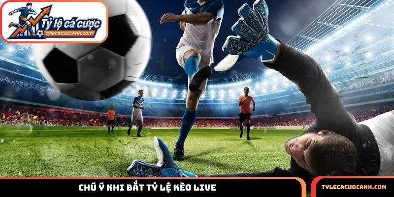 Chú ý hơn khi bắt tỷ lệ kèo live tỷ lệ cá cược
