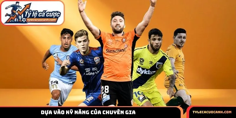 Dựa vào kỹ năng của chuyên gia