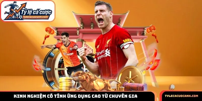 Kinh nghiệm có tính ứng dụng cao từ chuyên gia