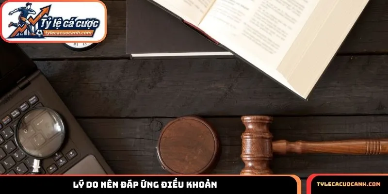 Lý do người dùng cần đáp ứng quy định trong điều khoản